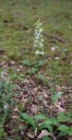 IMGP8559-1024.jpg