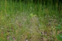 IMGP8605-1024.jpg
