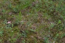 IMGP8613-1024.jpg