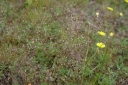 IMGP8619-1024.jpg