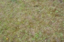 IMGP8622-1024.jpg