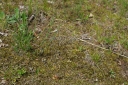 IMGP8626-1024.jpg
