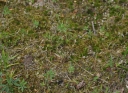 IMGP8627-1024.jpg