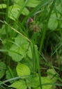 IMGP8653-1024.jpg