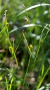 IMGP9401-1024.jpg