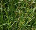 IMGP9408-1024.jpg