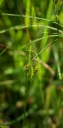IMGP9410-1024.jpg