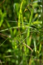 IMGP9413-1024.jpg