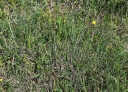 IMGP9432-1024.jpg