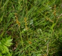 IMGP9433-1024.jpg