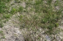 IMGP9437-1024.jpg