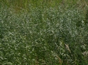 IMGP9445-1024.jpg