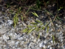 IMGP9449-1024.jpg
