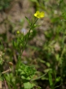 IMGP9482-1024.jpg