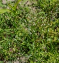 IMGP9486-1024.jpg