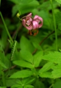IMGP8906-1024.jpg