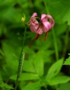 IMGP8907-1024.jpg