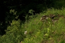 IMGP8909-1024.jpg