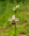 IMGP8912-1024.jpg