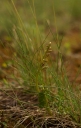IMGP8968-1024.jpg