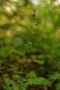IMGP8977-1024.jpg