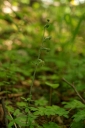 IMGP8978-1024.jpg
