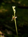 IMGP8986-1024.jpg