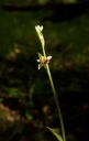 IMGP8993-1024.jpg
