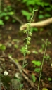 IMGP9000-1024.jpg