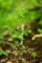 IMGP9002-1024.jpg