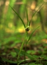 IMGP9015-1024.jpg