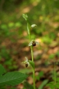 IMGP9025-1024.jpg