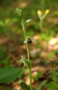 IMGP9026-1024.jpg