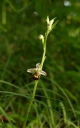 IMGP9036-1024.jpg