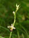 IMGP9037-1024.jpg