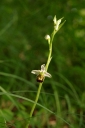 IMGP9038-1024.jpg