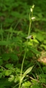 IMGP9039-1024.jpg