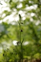 IMGP9049-1024.jpg