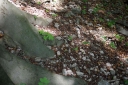 IMGP0810-1024.jpg