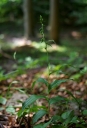 IMGP0817-1024.jpg