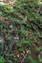 IMGP0845-1024.jpg