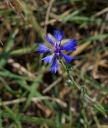 IMGP0899-1024.jpg