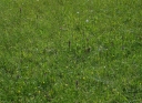 IMGP9615-1024.jpg