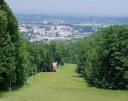 IMGP9647-1024.jpg