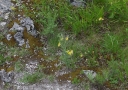 IMGP9674-1024.jpg