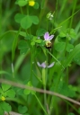 IMGP9704-1024.jpg