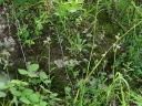 IMGP9705-1024.jpg