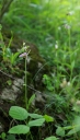 IMGP9710-1024.jpg