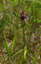 IMGP9722-1024.jpg