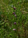 IMGP9725-1024.jpg
